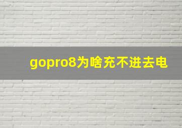 gopro8为啥充不进去电