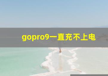 gopro9一直充不上电