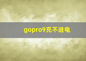 gopro9充不进电