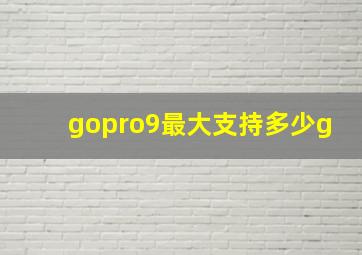 gopro9最大支持多少g