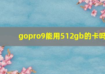 gopro9能用512gb的卡吗