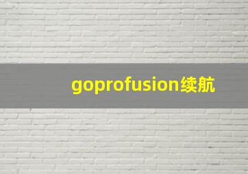 goprofusion续航