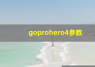 goprohero4参数