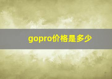 gopro价格是多少