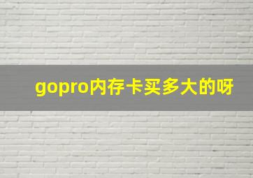 gopro内存卡买多大的呀