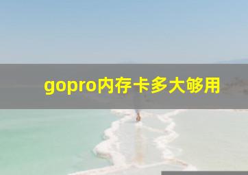 gopro内存卡多大够用