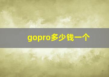 gopro多少钱一个