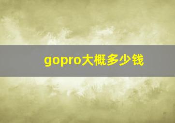 gopro大概多少钱