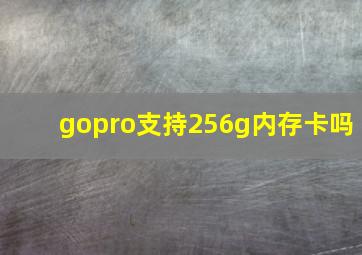 gopro支持256g内存卡吗