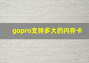 gopro支持多大的内存卡