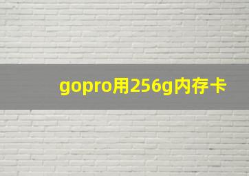 gopro用256g内存卡