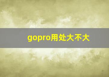 gopro用处大不大