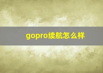 gopro续航怎么样