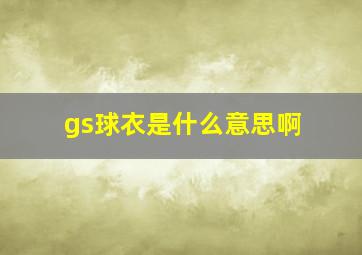 gs球衣是什么意思啊