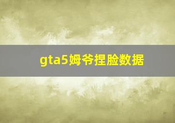 gta5姆爷捏脸数据