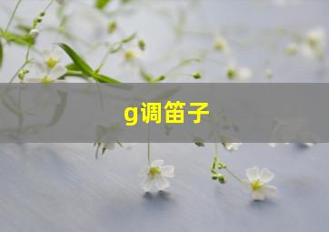 g调笛子