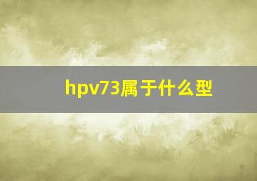 hpv73属于什么型