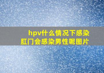 hpv什么情况下感染肛门会感染男性呢图片