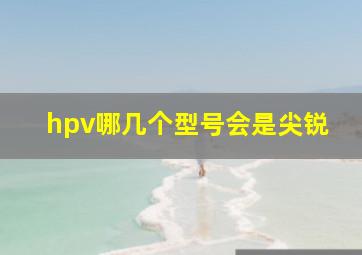 hpv哪几个型号会是尖锐