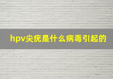 hpv尖疣是什么病毒引起的