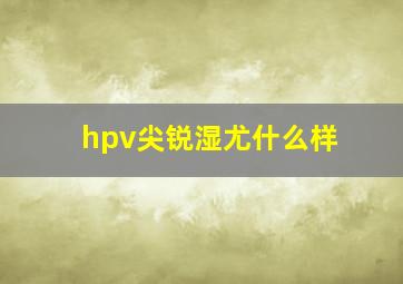 hpv尖锐湿尤什么样