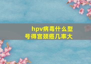 hpv病毒什么型号得宫颈癌几率大