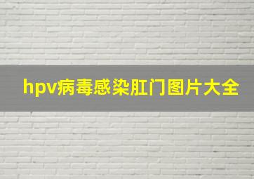 hpv病毒感染肛门图片大全