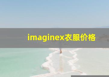 imaginex衣服价格