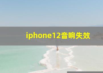 iphone12音响失效