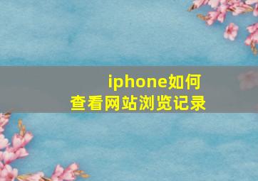 iphone如何查看网站浏览记录