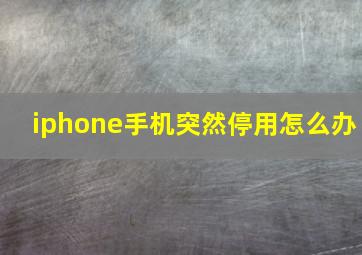 iphone手机突然停用怎么办