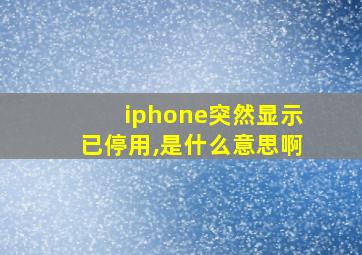 iphone突然显示已停用,是什么意思啊