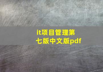 it项目管理第七版中文版pdf