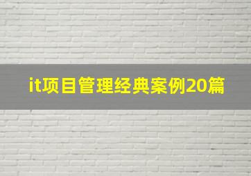 it项目管理经典案例20篇