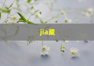 jia藏