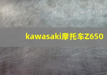 kawasaki摩托车Z650