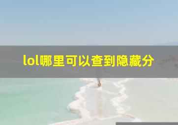 lol哪里可以查到隐藏分