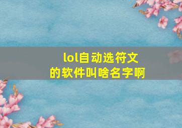 lol自动选符文的软件叫啥名字啊