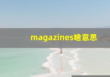 magazines啥意思