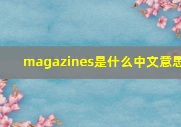 magazines是什么中文意思