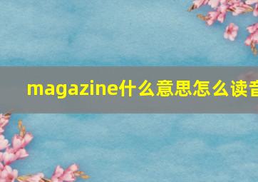 magazine什么意思怎么读音