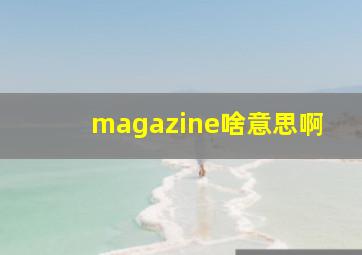 magazine啥意思啊