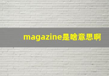 magazine是啥意思啊