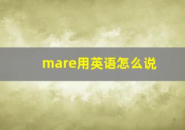 mare用英语怎么说