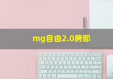 mg自由2.0胯部