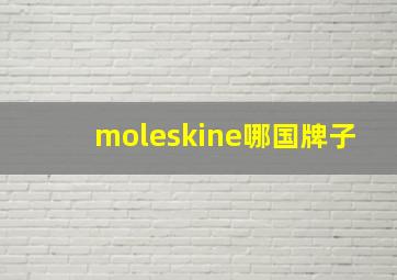 moleskine哪国牌子