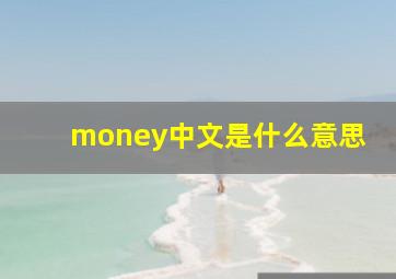 money中文是什么意思