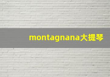 montagnana大提琴