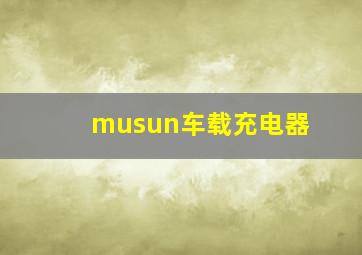 musun车载充电器