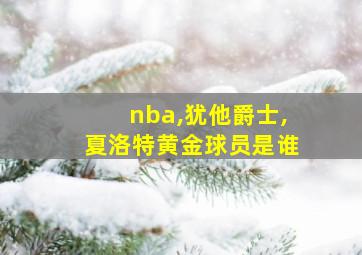 nba,犹他爵士,夏洛特黄金球员是谁